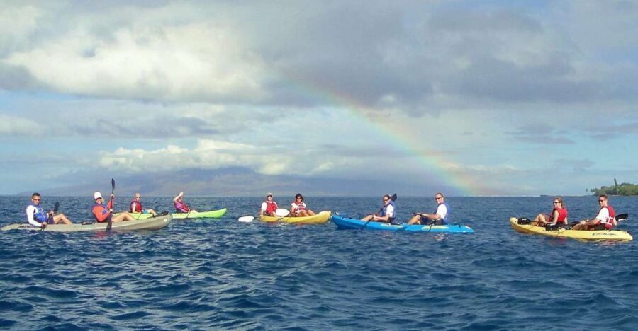 Kayak and Snorkel West Maui at Olowalu - Who Should Consider This Tour?