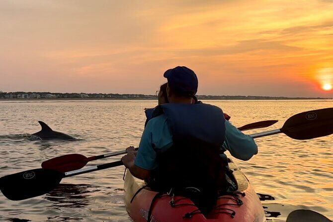 Kayak Dolphin Experience in Virginia Beach Must know how to swim - What You Can Expect From the Tour