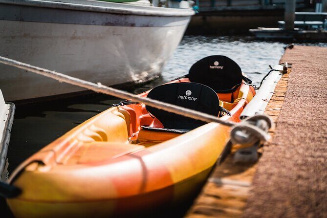 Kayak Rental in Redondo Beach, USA - The Meeting Point and Logistics