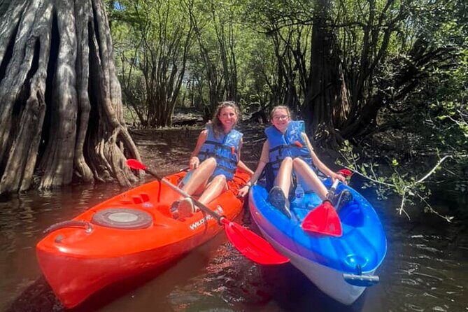Kayak Rental on the Waccamaw River - Who Is This Experience Best For?