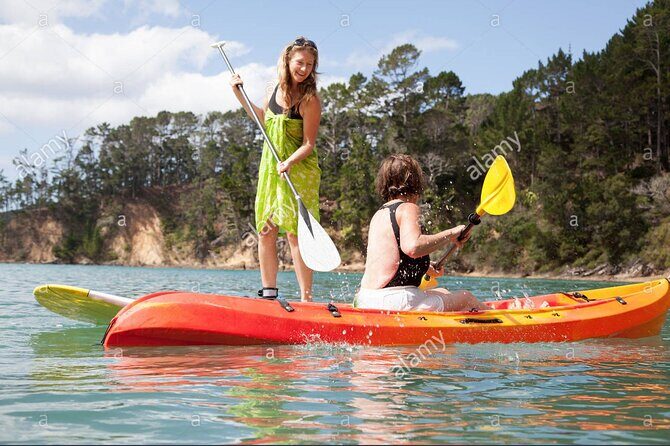 Kayak Tour and Rental - Why This Kayak Tour Is a Good Choice for Miami Visitors