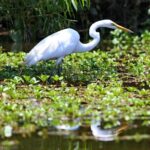 Kayak Tour of Lake James - Who Will Love This Tour?