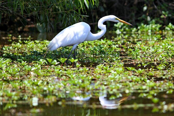 Kayak Tour of Lake James - Who Will Love This Tour?