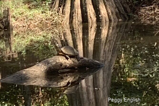 Kayak Tour Of The Honey Island Swamp and Backwaters - Small Group Dynamics