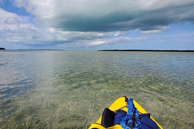 Kayak Trip, 1 Wet Hike + 2 dry hikes in Everglades National Park - Who Will Love It?