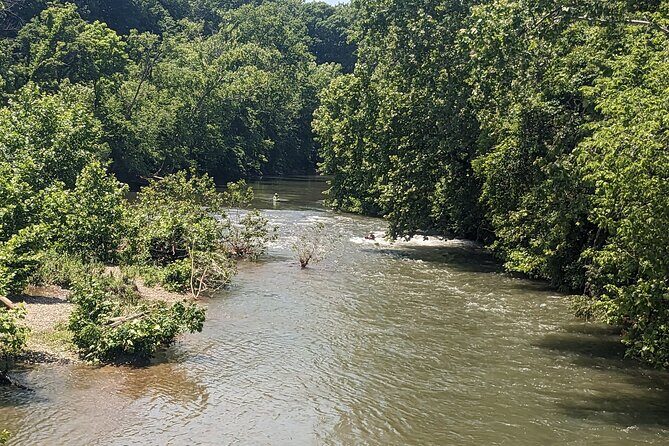 Kayaking on the Roanoke River - Who Will Love This Tour?