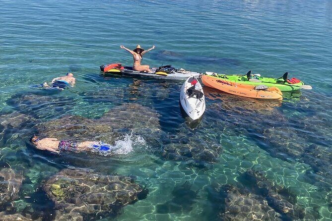 Kayaking with Sea Lions in a Calm Beautiful Harbor - Pricing and Value