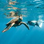 Kealakekua Bay Snorkel & Dolphin Watch In Kona - Who This Tour Is Best Suited For