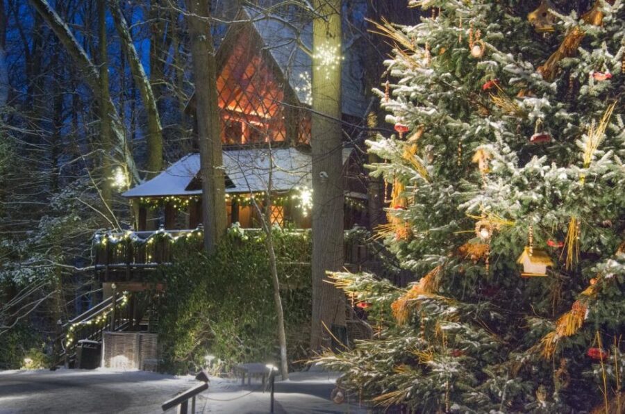 Kennett Square: Longwood Gardens Admission Ticket - The Value of the Admission Ticket