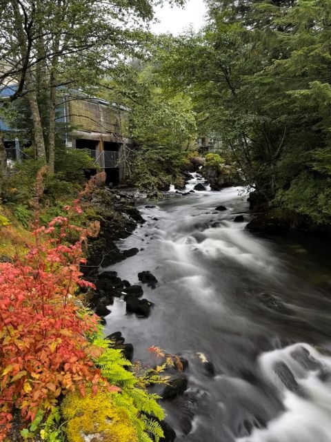 Ketchikan Photo Safari - Who Would Love This Tour?