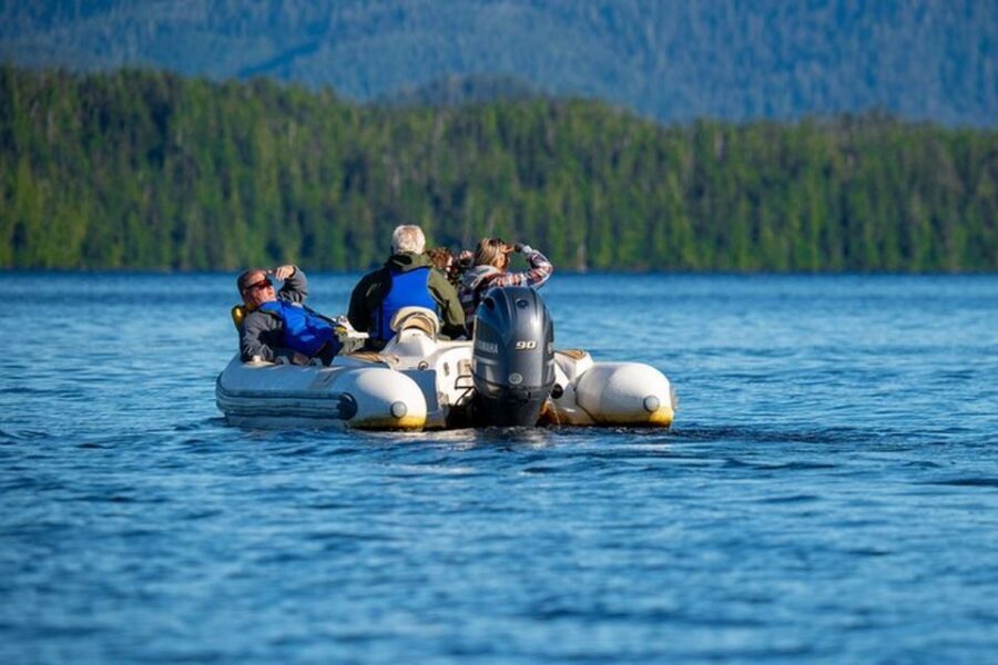 Ketchikan: Scenic Drive & George Inlet Fjords Zodiac Cruise - Rainforest Hike & Zodiac Safety