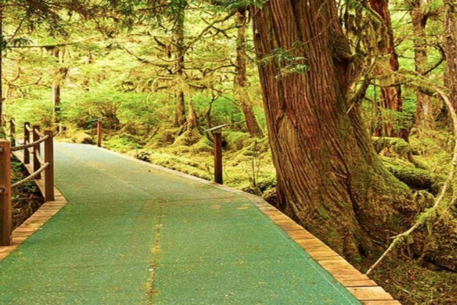 Ketchikan Shore Excursion: Silverking Lodge Adventure & Seafeast - Why This Tour Offers Value