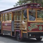 Ketchikan: Totem Pole, Wildlife & City Trolley Tour - Who Will Love This Tour?