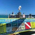 Key Largo and Islamorada Private Tour by Cabriolet Bus - Authentic Insights from Travelers