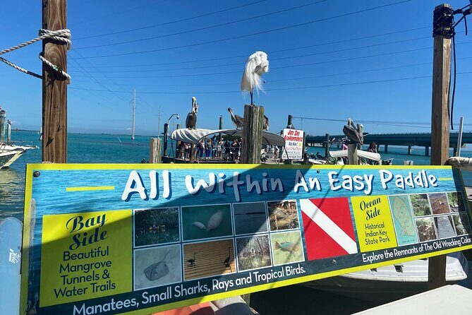 Key Largo and Islamorada Private Tour by Cabriolet Bus - Authentic Insights from Travelers
