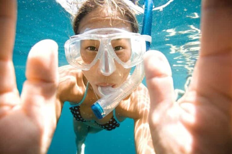 Key Largo: Molasses Reef Snorkeling Trip - Final Thoughts: The Value of a Snorkeling Day in Key Largo