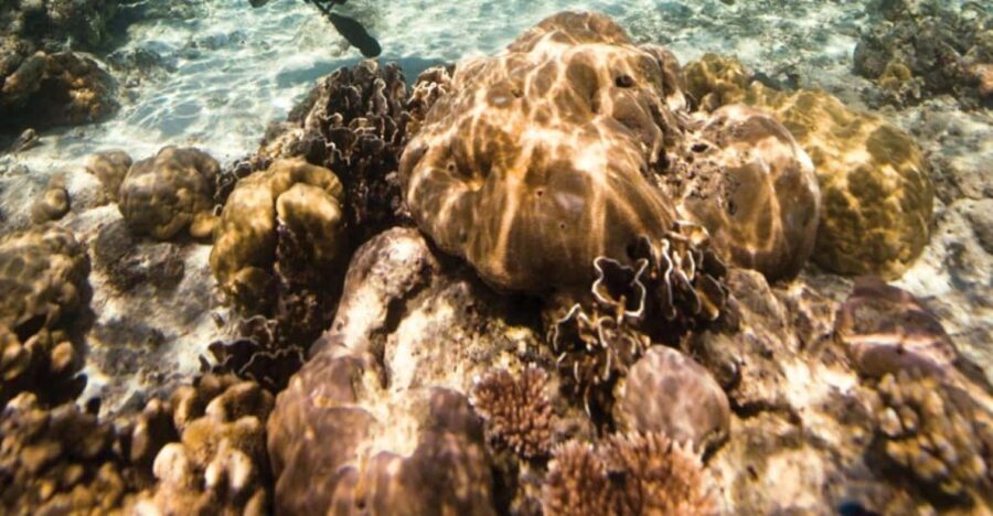 Key Largo: Scuba Refresher Course - In-Depth Look at the Itinerary