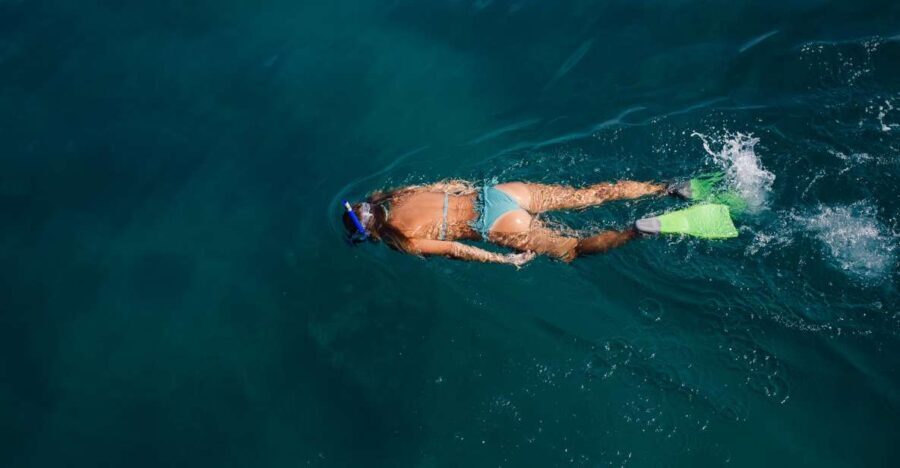 Key West: 3-Hour Afternoon Reef Snorkel with Drinks - The Practical Details