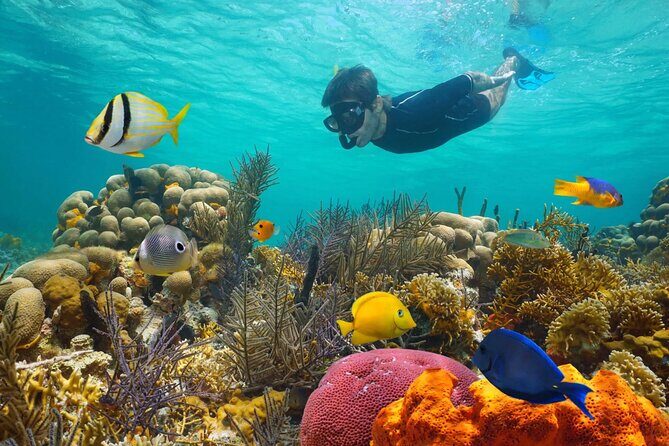Key West: 3hr Snorkeling Experience with Unlimited Drinks - Who Will Love This Tour?