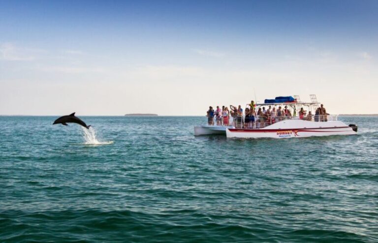 Key West: Dolphin & Reef Snorkel Trip with Sunset Option - Authentic Experiences & Real Insights from Travelers