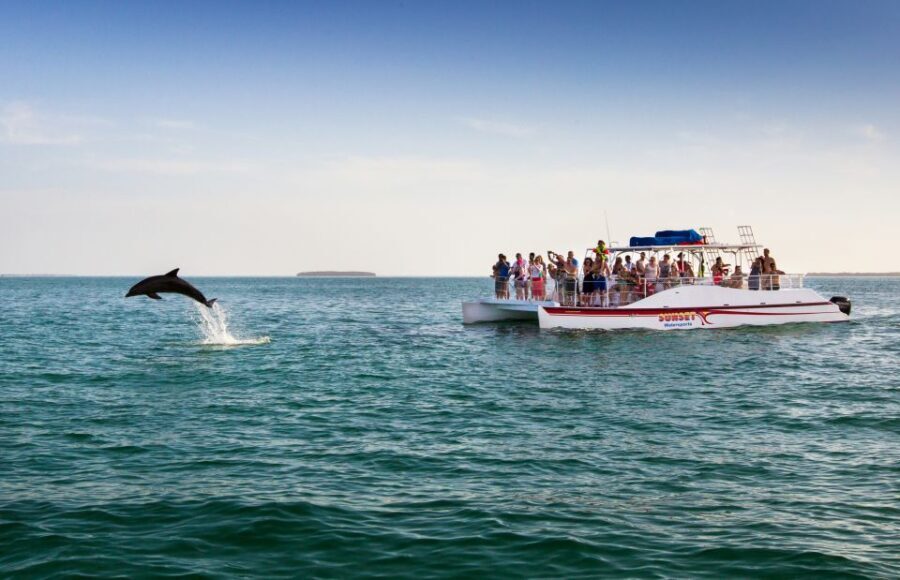 Key West: Dolphin & Reef Snorkel Trip with Sunset Option - Authentic Experiences & Real Insights from Travelers