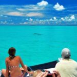 Key West: Dolphin Watching and Snorkeling Eco Cruise Tour - The Itinerary in Detail