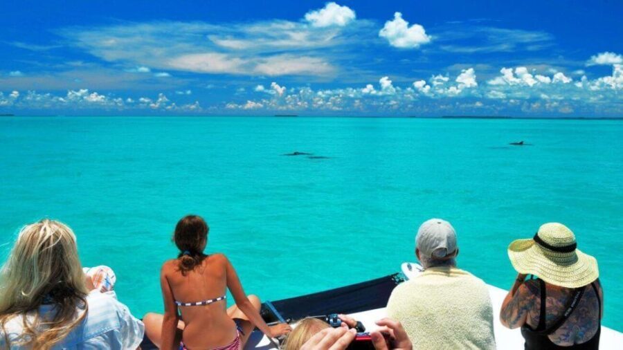 Key West: Dolphin Watching and Snorkeling Eco Cruise Tour - The Itinerary in Detail