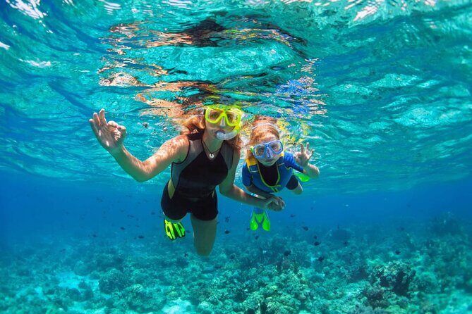 Key West: Dolphin Watching cruise & Snorkeling unlimited beer & soda - Practical Details & Tips