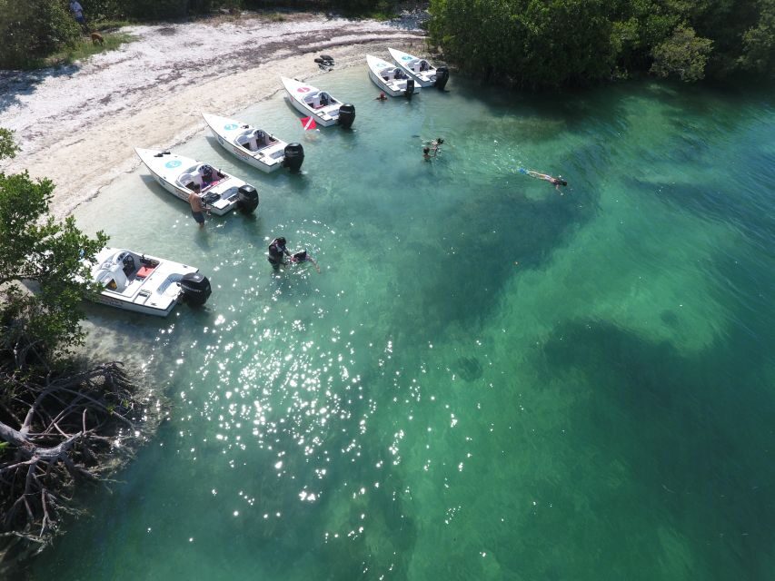 Key West: Eco Safari Sandbar Tour with Snorkeling - What’s Included and What to Expect