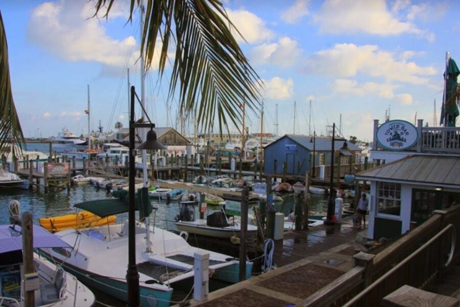 Key West: Hemingway's Life and Local Food Walking Tour - Authentic Insights from Reviewers