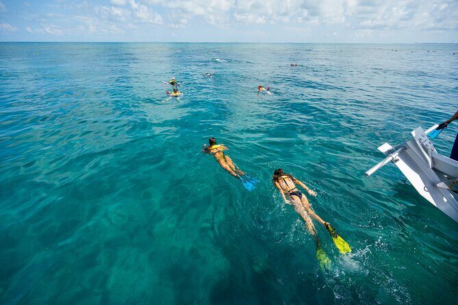 Key West Ragin' Cajun Seafood Two Stop Snorkel Adventure - The Seafood Feast and Premium Bar: A Southern Classic