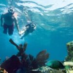 Key West: Reef Snorkeling with Drinks and Sunset Option - What to Expect on the Day