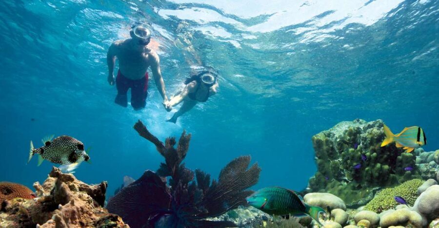 Key West: Reef Snorkeling with Drinks and Sunset Option - What to Expect on the Day