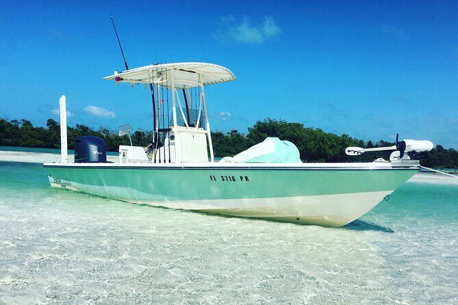 Key West Sandbar Charter - Who Would Love This Tour?