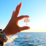 Key West: Ultimate Parasailing Experience - The Itinerary: What to Expect