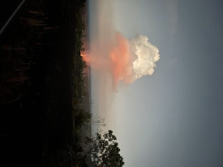 Kilauea: Volcanoes National Park Guided Hike - An In-Depth Look at the Guided Hike Experience
