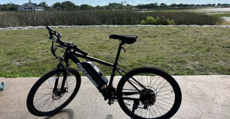 Kissimmee: 4-Hour All Electric Mountain Bike Lakefront Tour - Who Is This Tour Best For?
