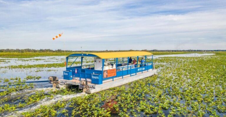 Kissimmee: Florida Everglades Pontoon Boat Tour - The Experience with the Guides