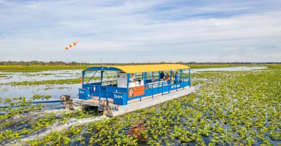 Kissimmee: Florida Everglades Pontoon Boat Tour - The Experience with the Guides