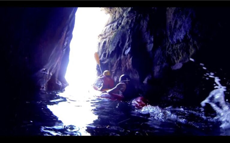 La Jolla: 2-Hour Kayak Tour of the 7 Caves - What to Expect: A Breakdown of the Tour