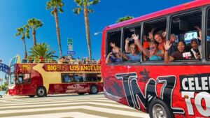 LA: TMZ Celebrity Tour & Big Bus 24-Hour Hop-on Hop-off Tour