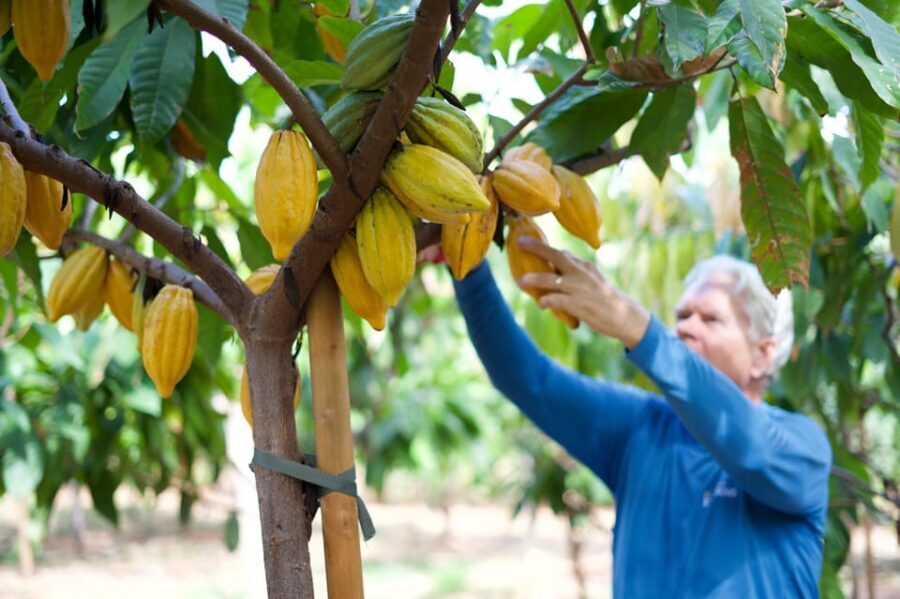 Lahaina: Maui Ku'ia Estate Guided Cacao Farm Tour & Tasting - Final Thoughts: Why This Tour Is Worth Considering