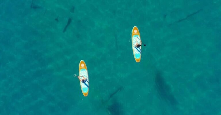 Lake Mead: Paddle Board Rental - Who Is This Experience Best For?