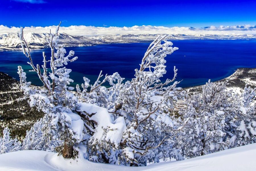 Lake Tahoe: Half-Day Photographic Scenic Tour - Who Will Love This Tour?