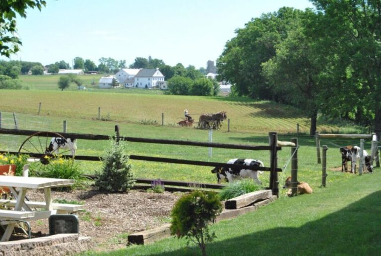Lancaster: Amish Experience Visit-in-Person Tour of 3 Farms - Final Thoughts on the Amish Experience Tour