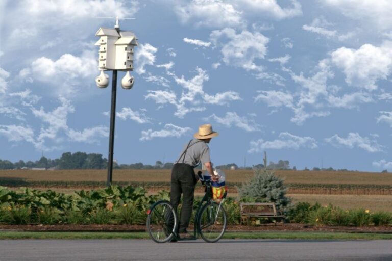Lancaster County: Amish Farmlands, Museum Tour, Farm Visit - Practical Details and Tips