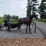 Lancaster: Downtown & Amish Country Authentic Lancaster Tour - The Tour Breakdown