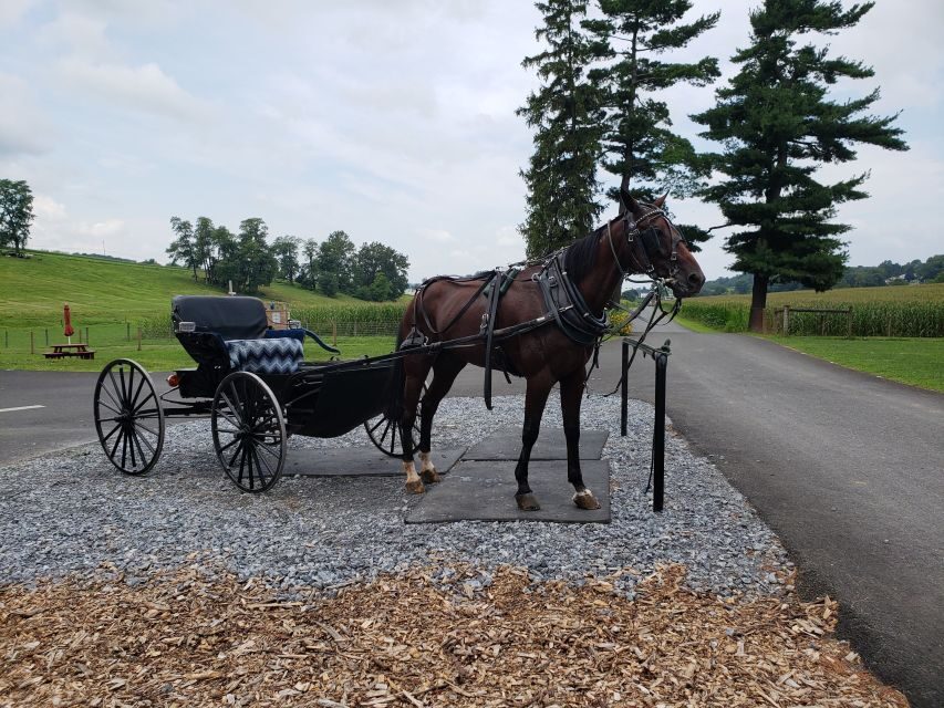 Lancaster: Downtown & Amish Country Authentic Lancaster Tour - The Tour Breakdown