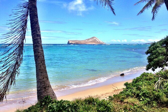 Lanikai to Mokulua islands Stand Up Paddle Board Tour - Practical Details & Tips