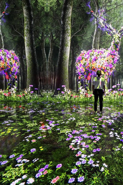 Las Vegas: Arte Museum Las Vegas Immersive Art Exhibition - Navigating the Visit: Practicalities and Tips